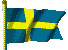 flag13